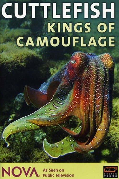 Cuttlefish: Kings of Camouflage