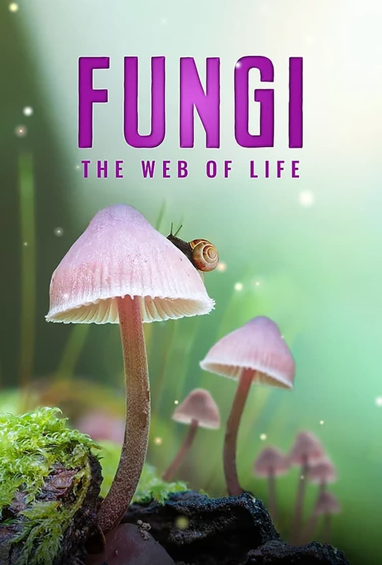 Fungi: The Web of Life