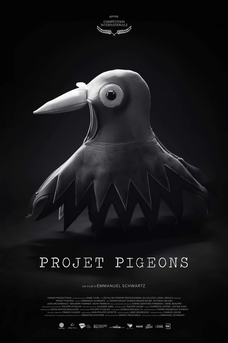 Projet Pigeons