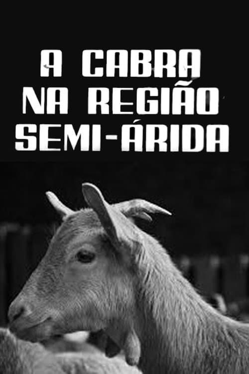 A Cabra na Região Semi-Árida