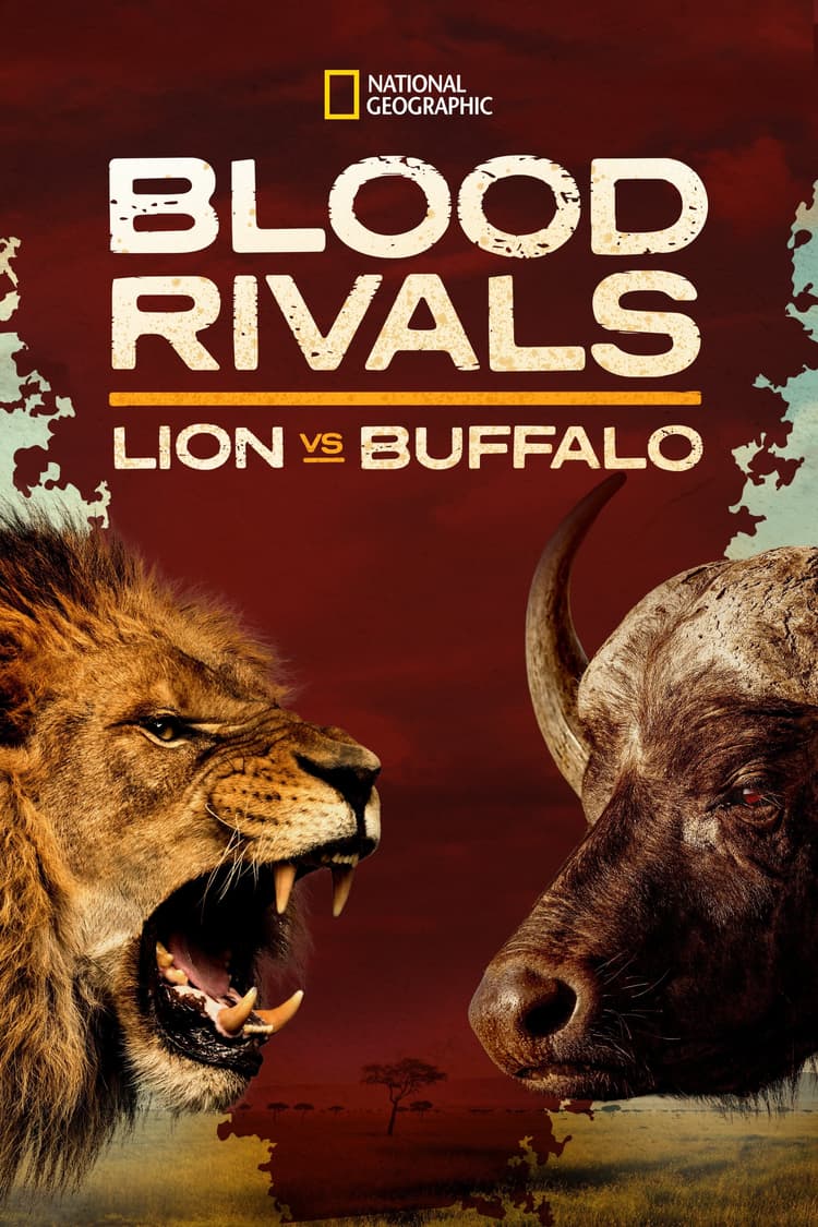 Blood Rivals: Lion vs Buffalo