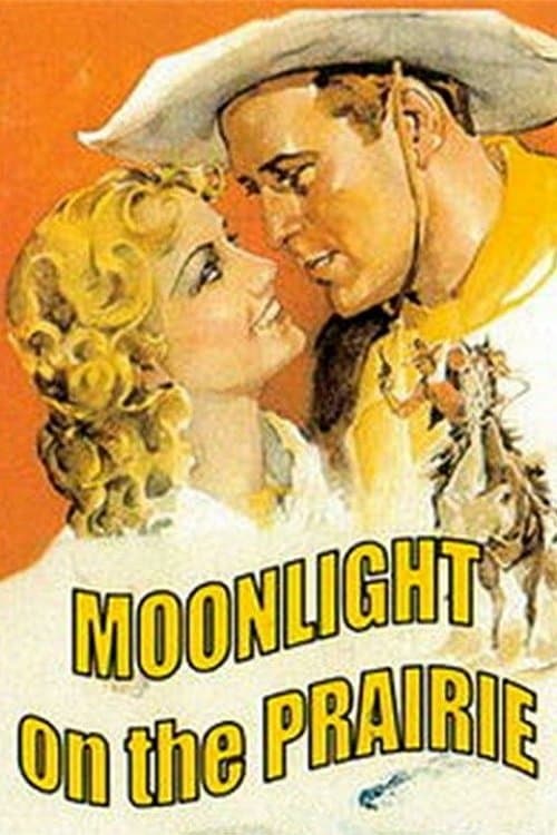 Moonlight on the Prairie