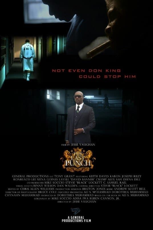 The Last Punch