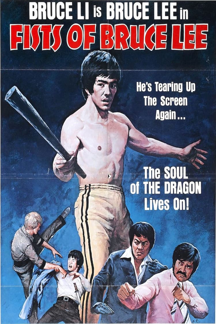 Fists Of Bruce Lee