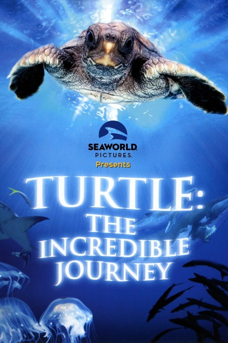 Turtle: The Incredible Journey