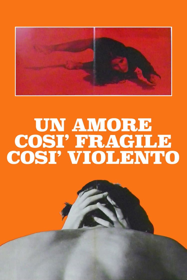 Un amore così fragile, così violento