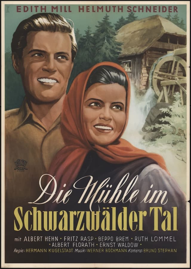 Die Mühle im Schwarzwäldertal