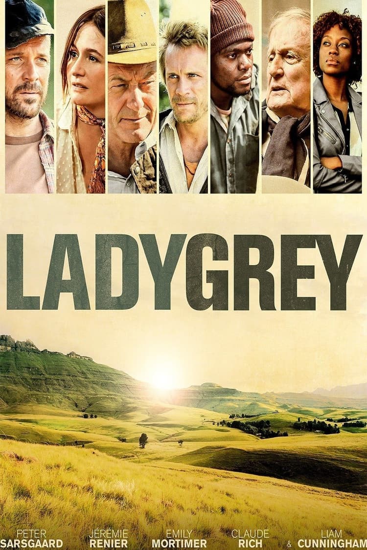 Ladygrey