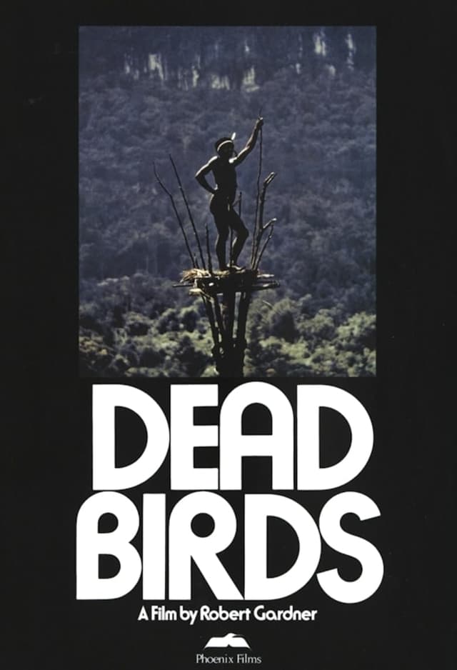 Dead Birds