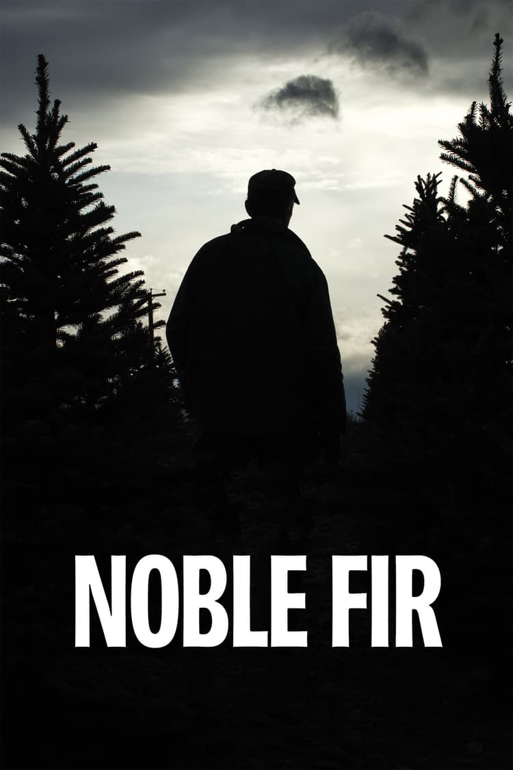 Noble Fir