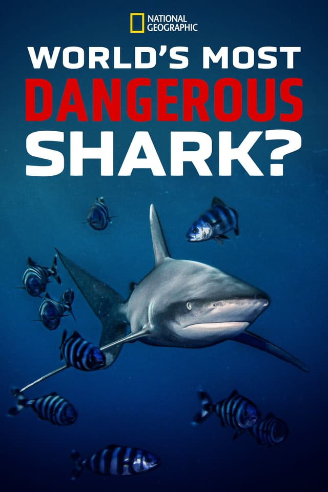 World's Most Dangerous Shark?