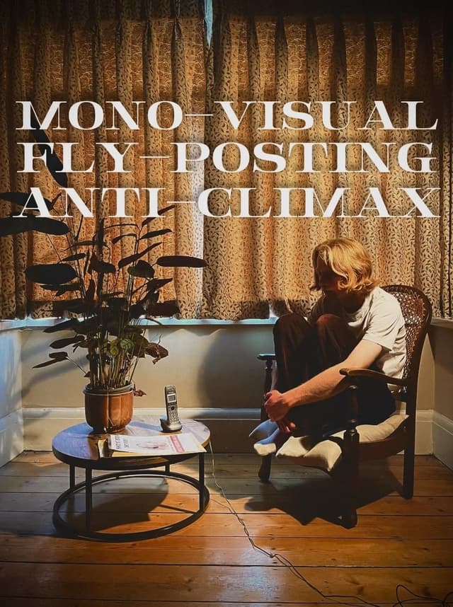 Mono-Visual Fly-Posting Anti-Climax