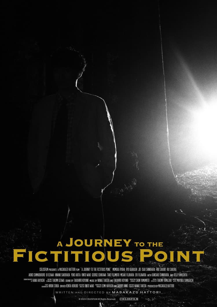 A Journey to the Fictitious Point