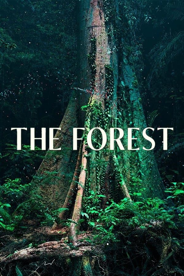 The Forest