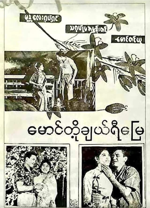 Our Cherry Land